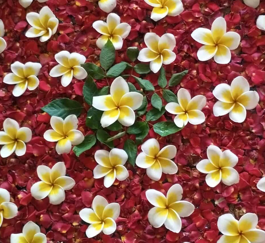 550432589_2518199608579914_5044704619188015962_n2